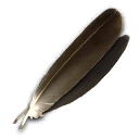 EagleFeather